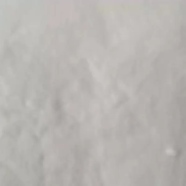 پودر نشاسته ذرت پاکنو - 800 گرم - 4