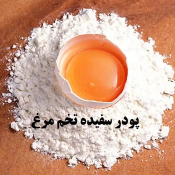 پودر سفیده تخم مرغ فله ای - 6