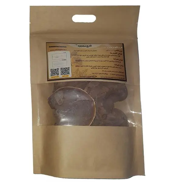 قارچ گانودرما قرمز قارچ معجزه - 100 گرم - 2