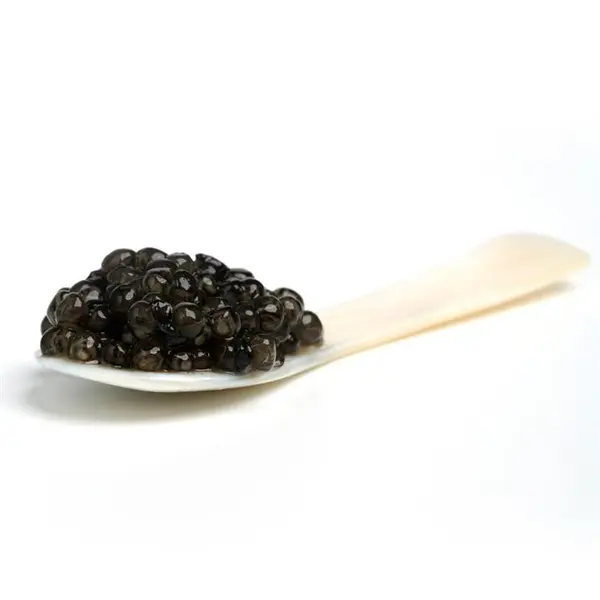 خاویار سوروگا خاویار ایران کاسپیران -  50 گرم SEVRUGA Caviar Iranian Caspiran Caviar - 50  g - 2