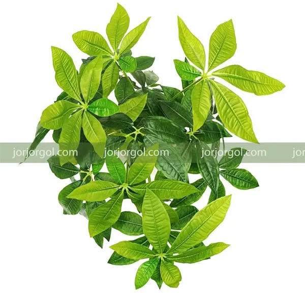 درختچه مصنوعی مدل پاچیرا - 3