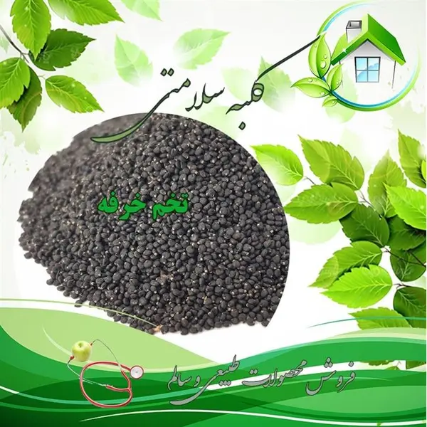 تخم خرفه ۱۰۰ گرمی - 2