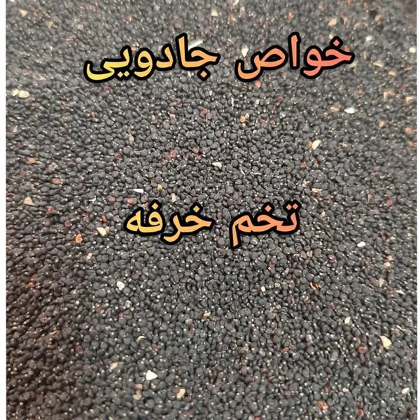 تخم خرفه ۱۰۰ گرمی - 6