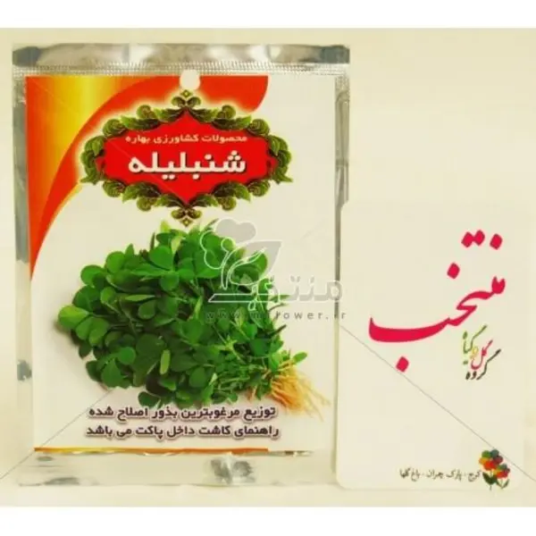 بذر شنبلیله - 2