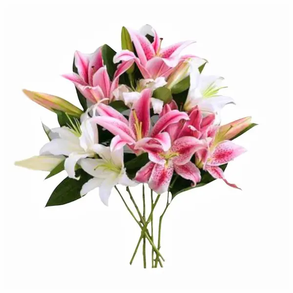 دسته گل طبیعی  لیلیوم اورینتال مدل ساده - 3