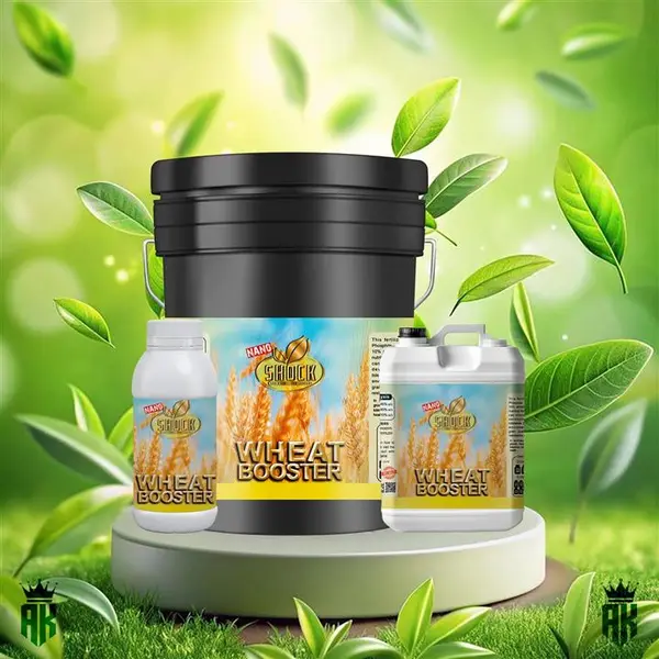 کود مخصوص گندم و جو مایع شوک اصل آمریکایی یک لیتری - 2