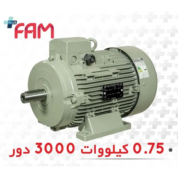 الکتروموتور الکتروژن سه فاز 0.75 کیلووات 3000 دور - 4