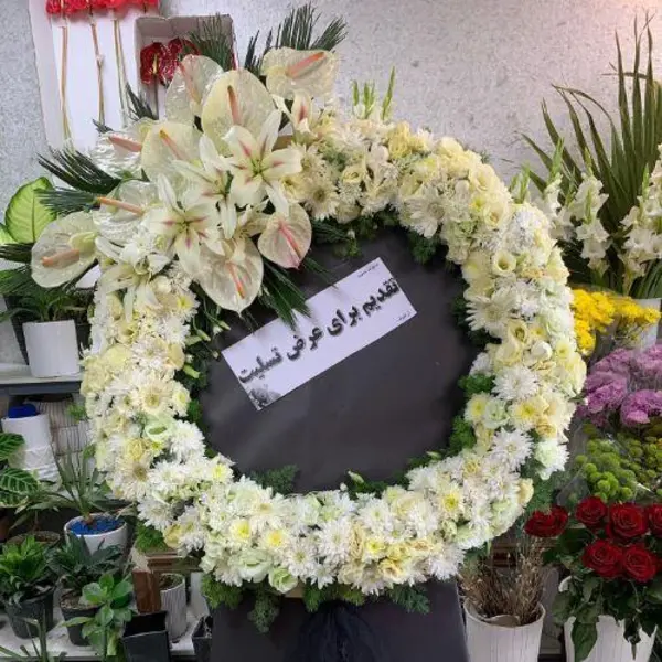 عکس تاج گل بزرگ1006 - 2