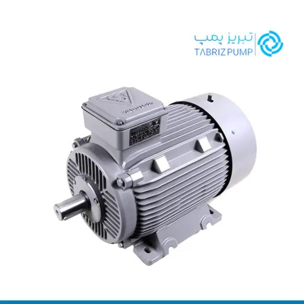 الکتروموتور موتوژن 11 کیلووات 3000 دور سه فاز چدنی - 2