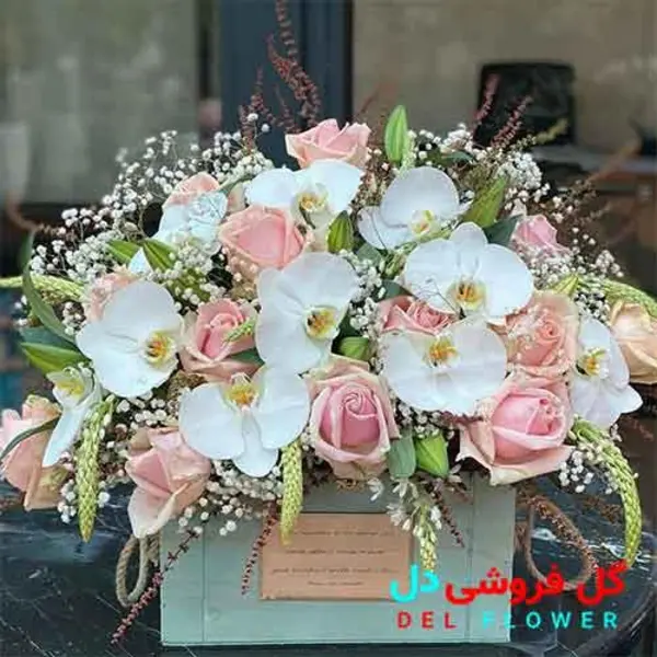 سبد گل ارکیده سفید 353 - 2