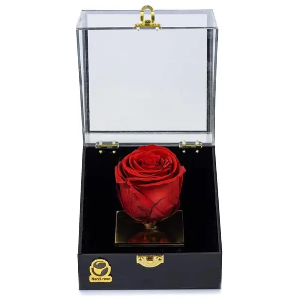 گل رز جاودان نارسی مدل لوتوس کد 406 - 5