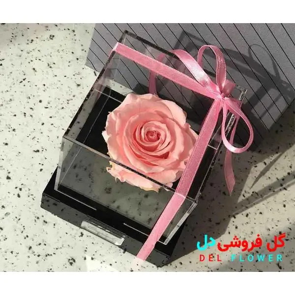 گل رز جاودان صورتی 415 - 2