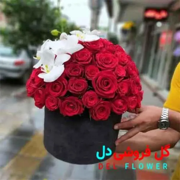 باکس گل رز و ارکیده 434 - 2