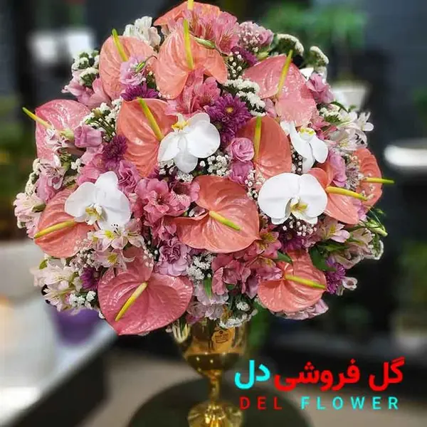 جام گل 532