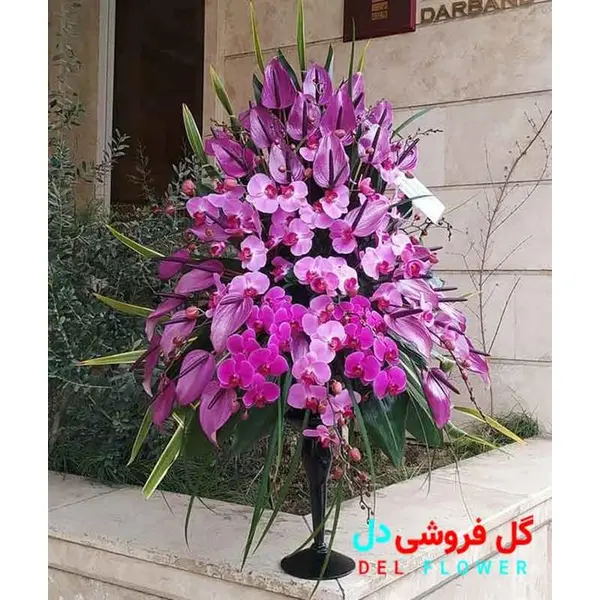 جام گل 541