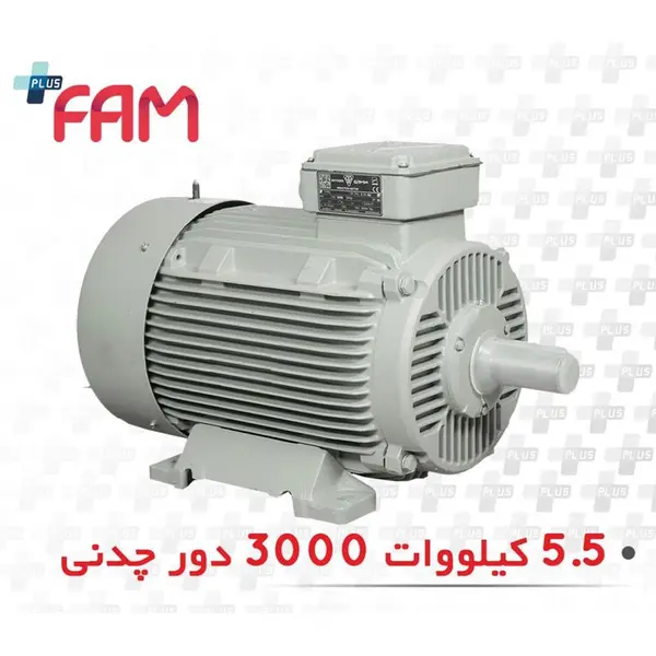 الکتروموتور موتوژن 5.5 کیلووات 3000 دور سه فاز چدنی - 2