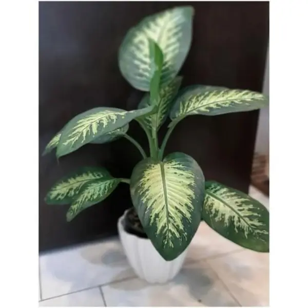 گل دیفن باخیا سطل 7 هزینه ارسال به عهده مشتری - 5