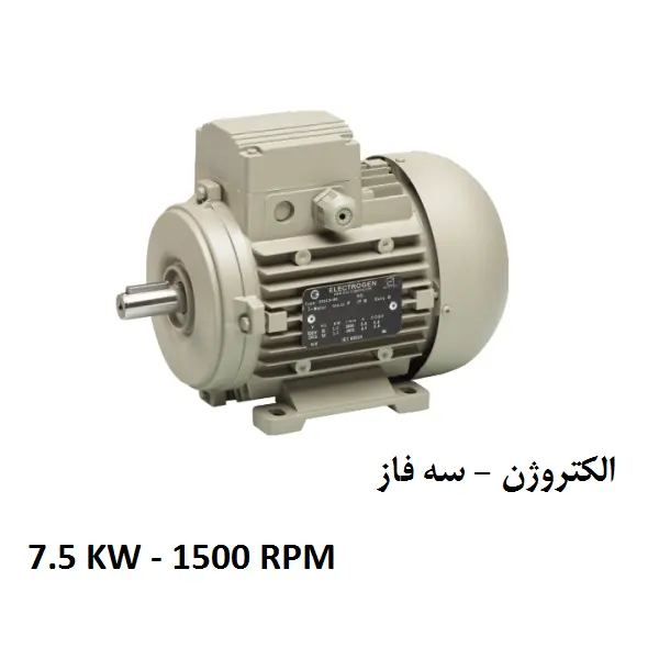 الکتروموتور الکتروژن سه فاز 7.5 کیلووات 1500 دور - 5