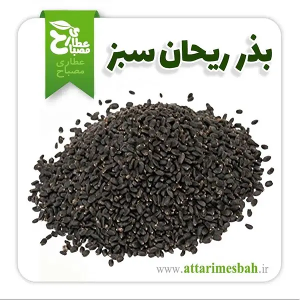 بذر سبزی ریحان سبز - Basil seed - 4