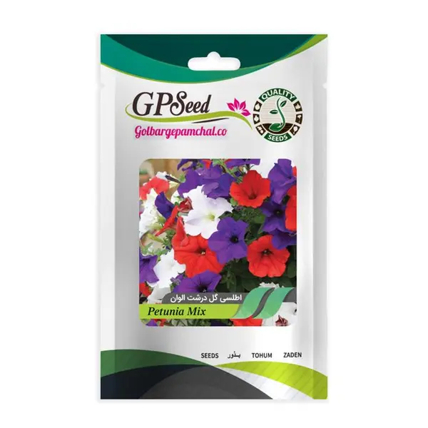 بذر گل اطلسی ایرانی گل درشت پرگل الوان گلبرگ پامچال کد GPF-019 - 2