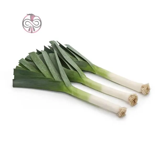 بذر سبزی تره فرنگی - Leek seed - 3