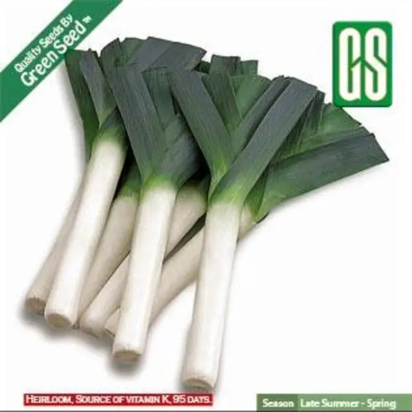 بذر سبزی تره فرنگی - Leek seed - 2