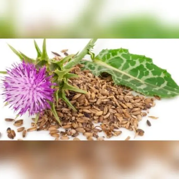 Pakan Bazr Milk Thistle Seeds - 6