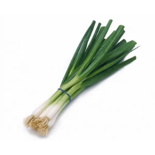 بذر پیازچه - Scallion seed - 3
