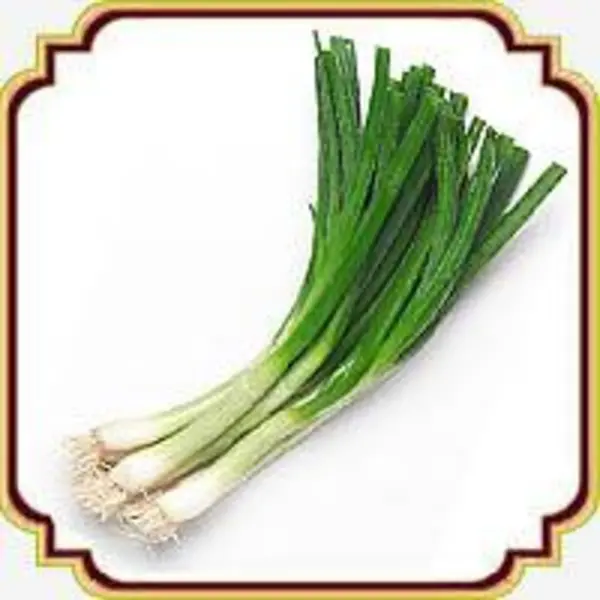 بذر پیازچه - Scallion seed - 5