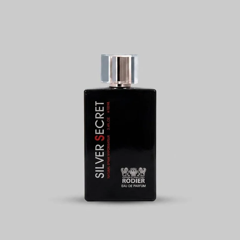 ادو پرفیوم مردانه رودیر مدل Silver Secret حجم 100 میلی لیتر